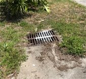 Make sure to keep pollutants out of storm drains