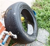 mosquito control message