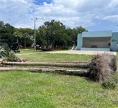 Daisy Stocking Park improvements