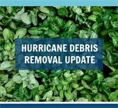 Hurricane Debris Removal Update